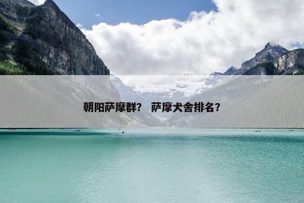 朝阳萨摩群？ 萨摩犬舍排名？