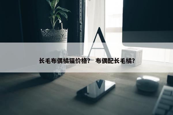 长毛布偶橘猫价格？ 布偶配长毛橘？