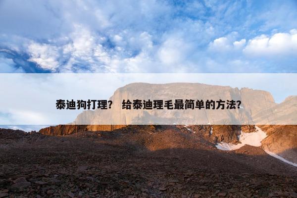 泰迪狗打理？ 给泰迪理毛最简单的方法？
