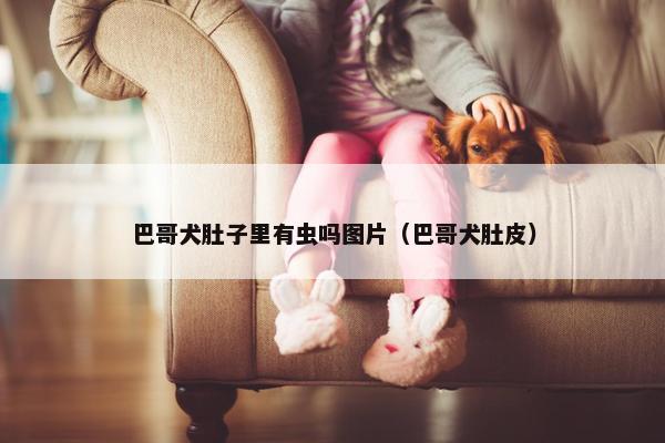 巴哥犬肚子里有虫吗图片（巴哥犬肚皮）