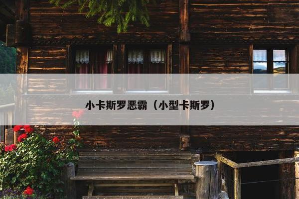 小卡斯罗恶霸（小型卡斯罗）