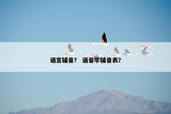 语言辅音？ 语音学辅音表？