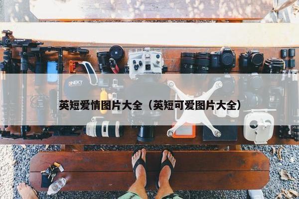 英短爱情图片大全（英短可爱图片大全）