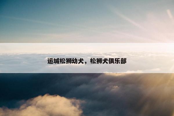 运城松狮幼犬，松狮犬俱乐部