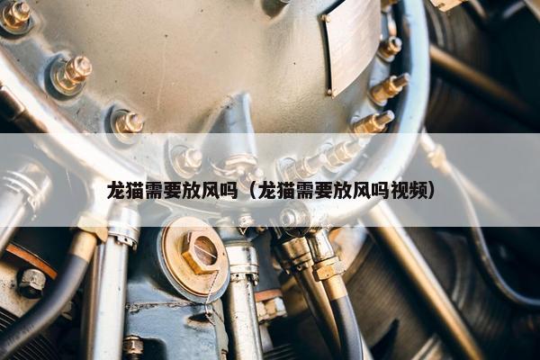 龙猫需要放风吗（龙猫需要放风吗视频）
