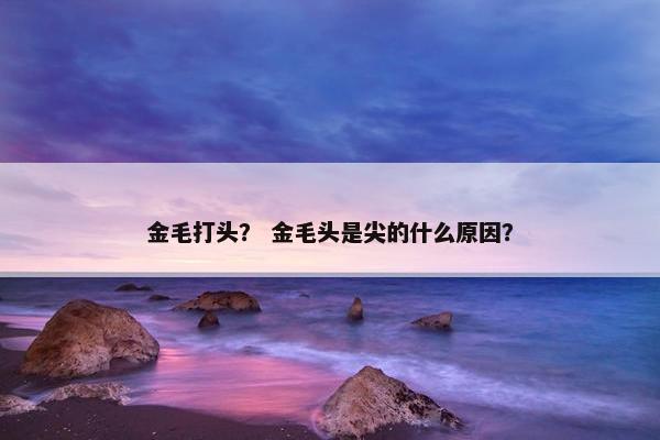 金毛打头？ 金毛头是尖的什么原因？