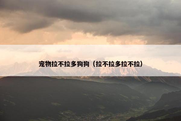 宠物拉不拉多狗狗（拉不拉多拉不拉）