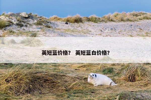 英短蓝价格？ 英短蓝白价格？