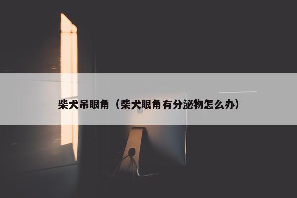 柴犬吊眼角（柴犬眼角有分泌物怎么办）