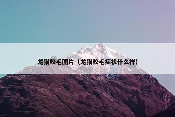 龙猫咬毛图片（龙猫咬毛症状什么样）