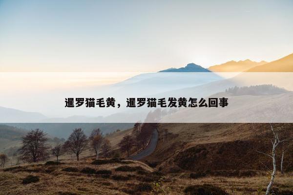 暹罗猫毛黄，暹罗猫毛发黄怎么回事