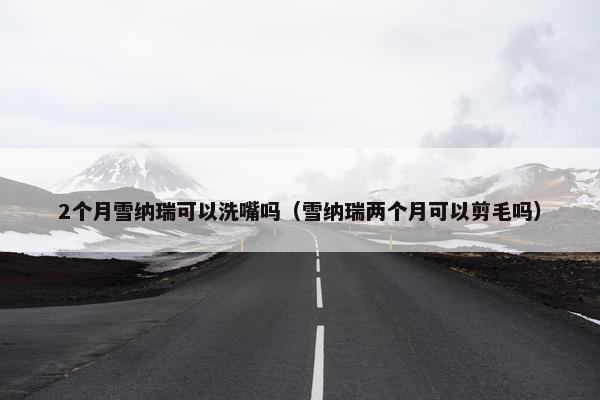 2个月雪纳瑞可以洗嘴吗（雪纳瑞两个月可以剪毛吗）