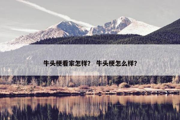 牛头梗看家怎样？ 牛头梗怎么样？