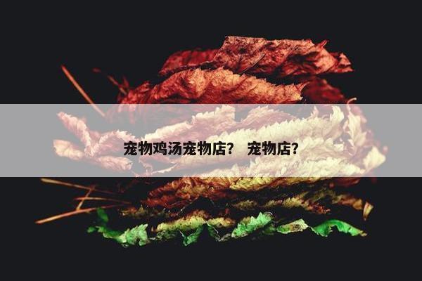 宠物鸡汤宠物店？ 宠物店？