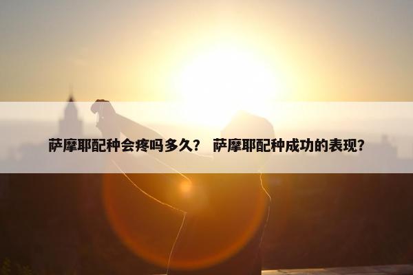 萨摩耶配种会疼吗多久？ 萨摩耶配种成功的表现？