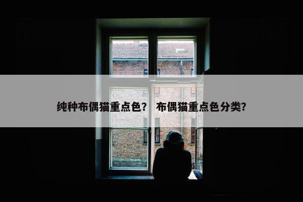 纯种布偶猫重点色？ 布偶猫重点色分类？