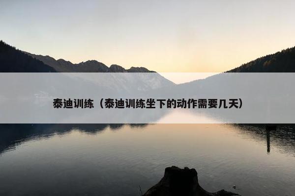 泰迪训练（泰迪训练坐下的动作需要几天）