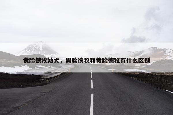 黄脸德牧幼犬，黑脸德牧和黄脸德牧有什么区别