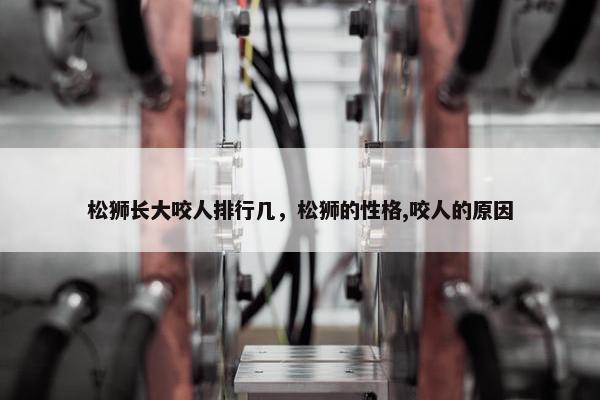松狮长大咬人排行几，松狮的性格,咬人的原因