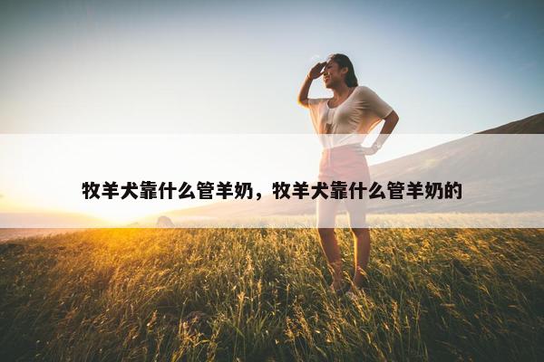 牧羊犬靠什么管羊奶，牧羊犬靠什么管羊奶的
