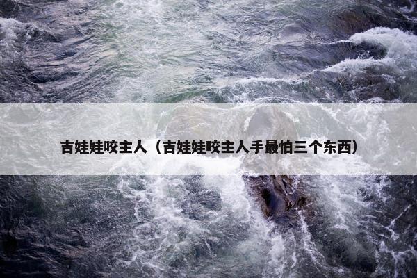吉娃娃咬主人（吉娃娃咬主人手最怕三个东西）