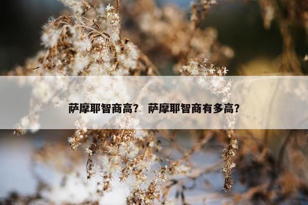 萨摩耶智商高？ 萨摩耶智商有多高？