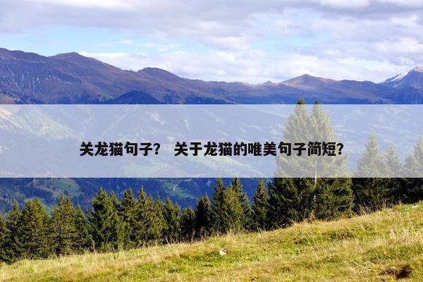 关龙猫句子？ 关于龙猫的唯美句子简短？
