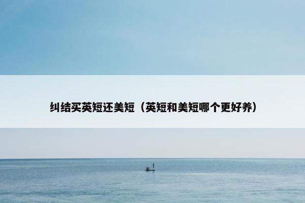 纠结买英短还美短（英短和美短哪个更好养）