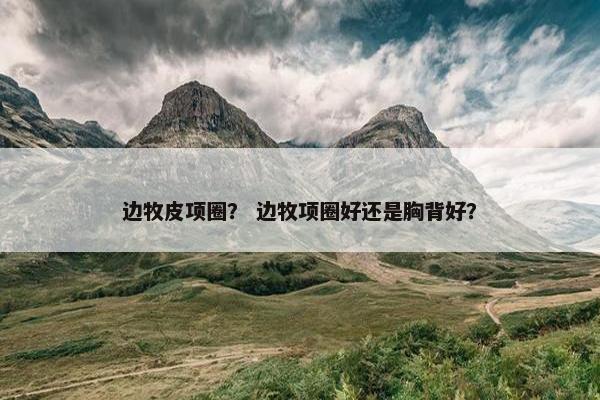 边牧皮项圈？ 边牧项圈好还是胸背好？
