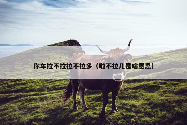 不行