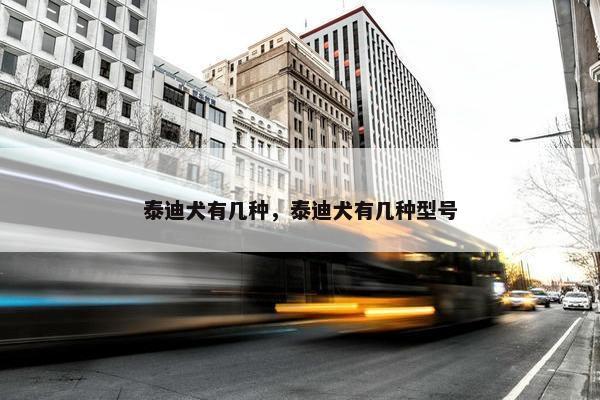 泰迪犬有几种，泰迪犬有几种型号