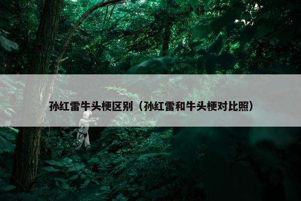 孙红雷牛头梗区别（孙红雷和牛头梗对比照）