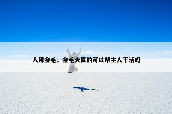 人用金毛，金毛犬真的可以帮主人干活吗