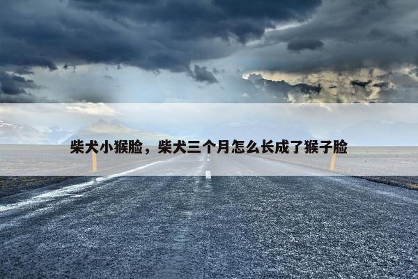 大地