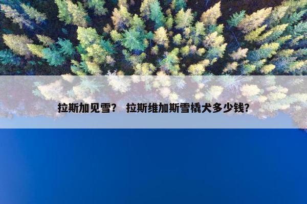 拉斯加见雪？ 拉斯维加斯雪橇犬多少钱？