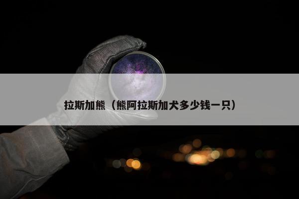 拉斯加熊（熊阿拉斯加犬多少钱一只）