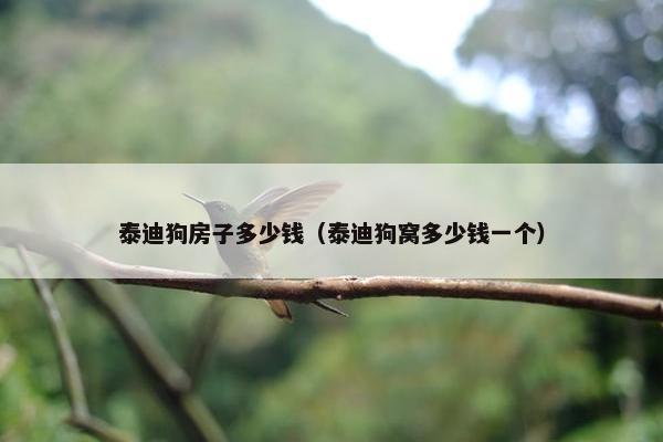 泰迪狗房子多少钱（泰迪狗窝多少钱一个）