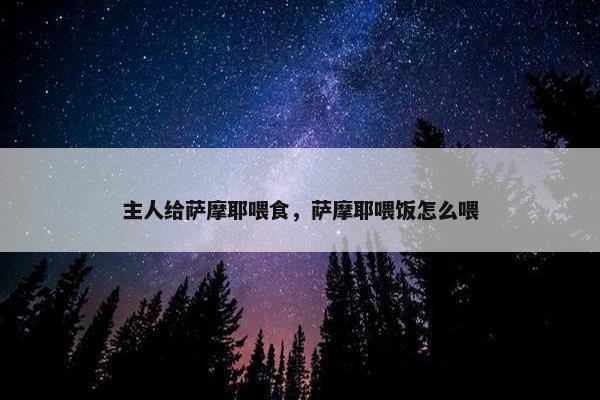 主人给萨摩耶喂食，萨摩耶喂饭怎么喂