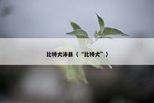 比特犬沛县（“比特犬”）