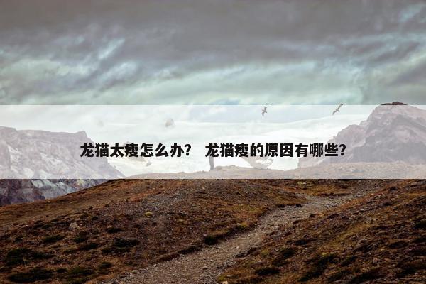 龙猫太瘦怎么办？ 龙猫瘦的原因有哪些？