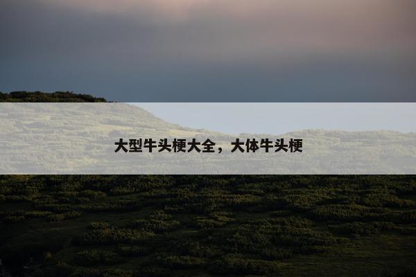 大型牛头梗大全，大体牛头梗