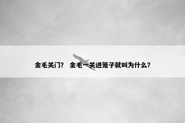 金毛关门？ 金毛一关进笼子就叫为什么？