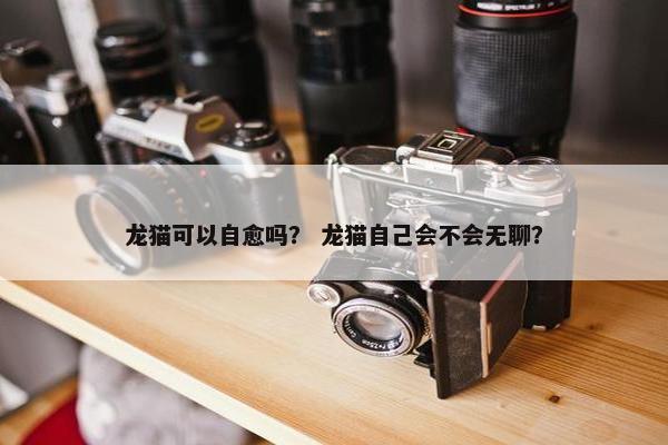 龙猫可以自愈吗？ 龙猫自己会不会无聊？