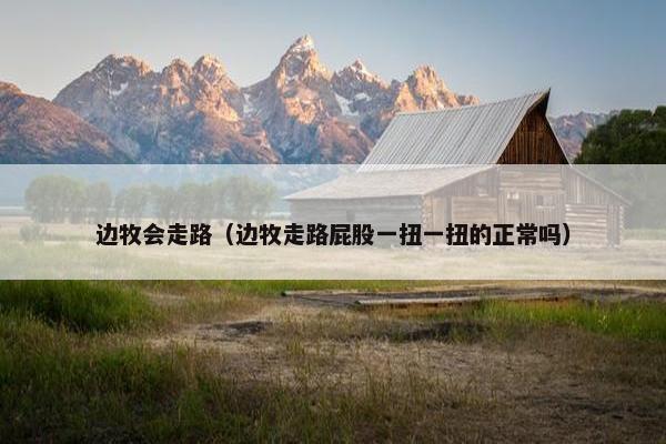 边牧会走路（边牧走路屁股一扭一扭的正常吗）