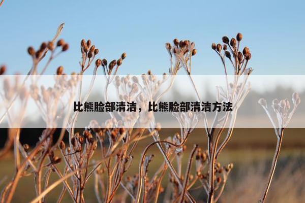 比熊脸部清洁，比熊脸部清洁方法