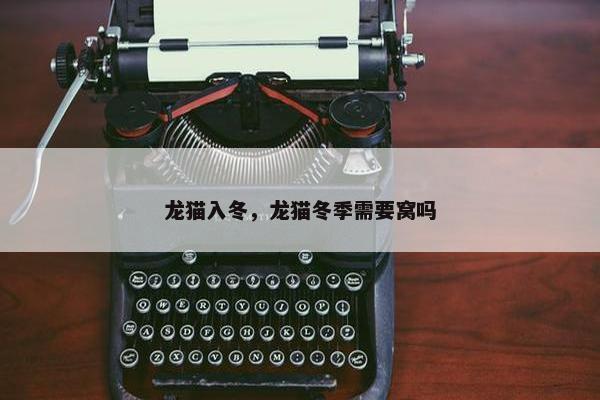龙猫入冬，龙猫冬季需要窝吗