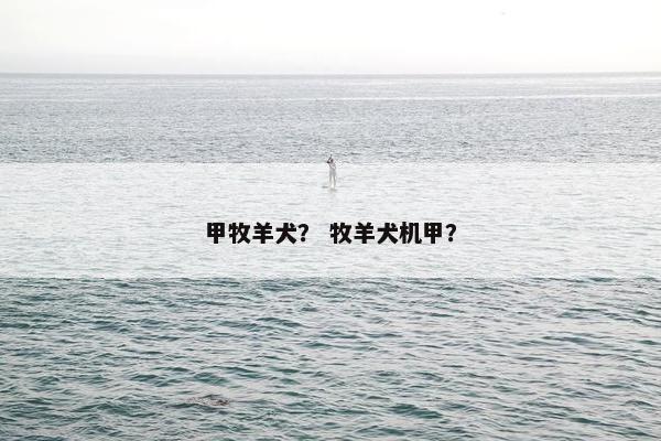 甲牧羊犬？ 牧羊犬机甲？