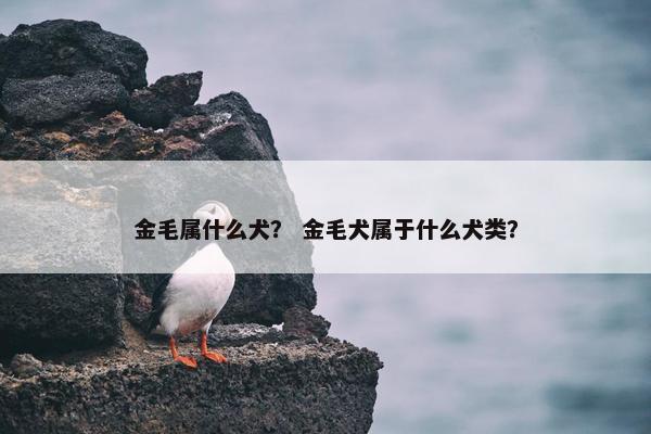 金毛属什么犬？ 金毛犬属于什么犬类？