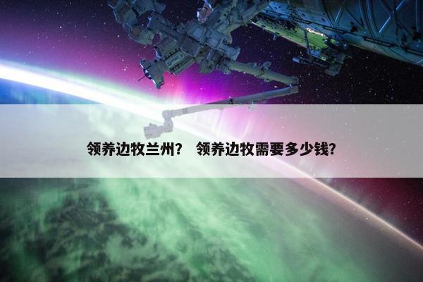 领养边牧兰州？ 领养边牧需要多少钱？