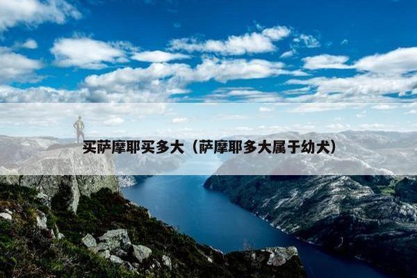买萨摩耶买多大（萨摩耶多大属于幼犬）
